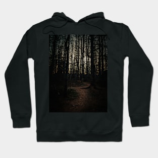 Sinister Forest Path to the Unknowned V2 Hoodie